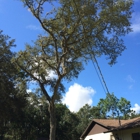 Fullington Lawn & Tree Services LLC