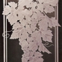 Etchings-Custom Etched Glass Bonnie Brown Design