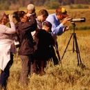 Yellowstone Hiking Guides - Tours-Operators & Promoters