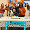 Marin City Animal Hospital - Veterinarians