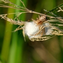 A & B Exterminators - Pest Control Equipment & Supplies