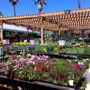 Armstrong Garden Centers