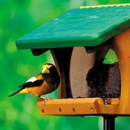 Wild Birds Unlimited - Bird Feeders & Houses