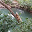 Florida Keys Aquarium Encounters