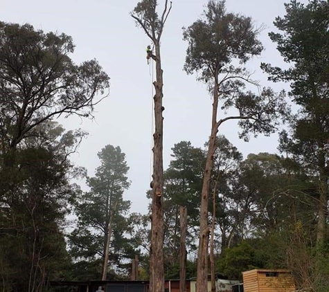 Advanced Tree Care - Bonnie Doon, VIC