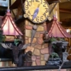 Great Wolf Lodge gallery