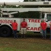 Wilson's Tree Service gallery