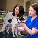 Combs Veterinary Clinic - Veterinary Clinics & Hospitals