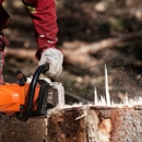 Indiana Tree Service - Stump Removal & Grinding