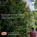 Moon Valley Nurseries - Nurseries-Plants & Trees