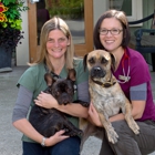 Companion Animal Wellness Ctr