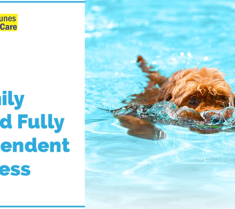Neptunes Pool Care - Kallangur, QLD. A Family Owned Fully Independent Business