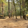 Reed Construction Services gallery