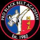 Professional Black Belt Academy - Fort Worth