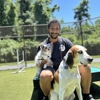 Olde Towne Pet Resort gallery