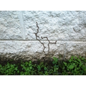 Gallery Image Number 6