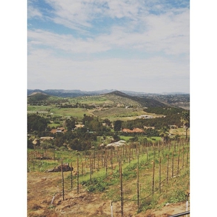 Cordiano Winery - Escondido, CA