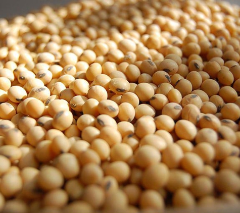 Dempster's Seed Grading - Berrigan, NSW