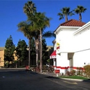 In-N-Out Burger - Fast Food Restaurants