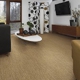Carpet Hut by McDrake