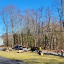 Letts Tree Service - Tree Service