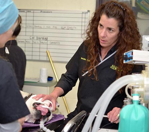 Peninsula Vet Care - Rosebud, VIC
