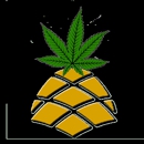 ReNew You - CBD Hemp Dispensary and Apothecary