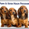 All Valley Pet Hospital gallery