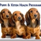 All Valley Pet Hospital