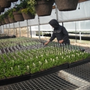 Frenchtown Greenhouse - Greenhouses