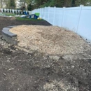 Gorilla Stump Grinding - Tree Service