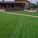 Castellanos Landscaping