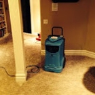 Carpet Clean San Jose