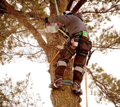 McKee Tree Service