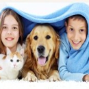 Avon Veterinary Clinic - Veterinarians