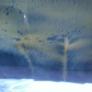 Prime Shine Inc Psxp - Car Wash