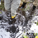 Global Environmental Operations, Inc. - Ecological Engineers