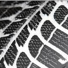 L & D Automotive Inc
