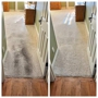 Elite Carpet & Tile Cleaning