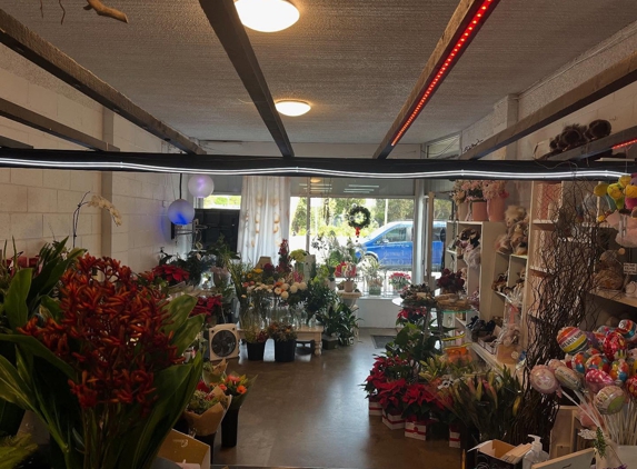 Snowballs Flowers Gallery - Rosebud, VIC