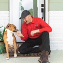 All U Need Pest Control Jacksonville - Pest Control Services