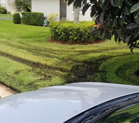 Above & Beyond Landscaping - Stuart, FL. Destroyed our lawns