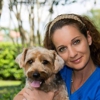 Comfort and Care Pet Sitting/Vet tech svcs. gallery