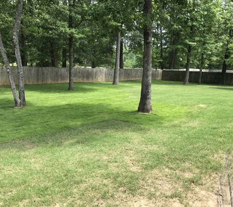 Thomas Lawn Care - Jacksonville, AR