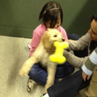 Petland Montgomery