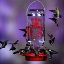 Rubyredbirdfeeders.com - Bird Feeders & Houses