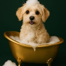 Queen of Shears - Pet Grooming