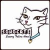 SoHoCats Luxury Feline Hotel gallery