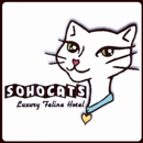 SoHoCats Luxury Feline Hotel - Pet Services