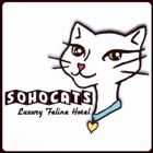 SoHoCats Luxury Feline Hotel